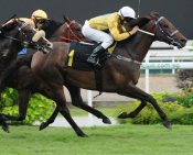 Waikato<br>Photo by Singapore Turf Club